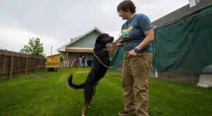 Animal control staff with dog